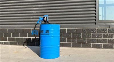 Electric Fuel Pump