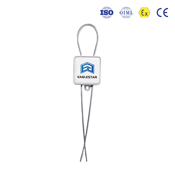 Permanent Electronic Seal Lock